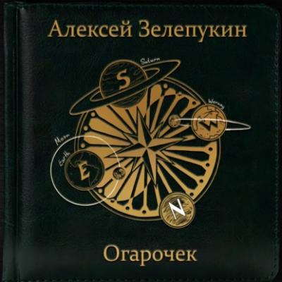 Огарочек - Алексей Владимирович Зелепукин 