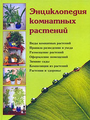 Энциклопедия комнатных растений - Наталья Шешко 