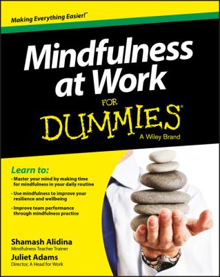 Mindfulness at Work For Dummies - Shamash  Alidina 