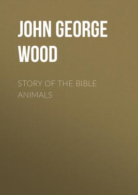 Story of the Bible Animals - John George Wood 