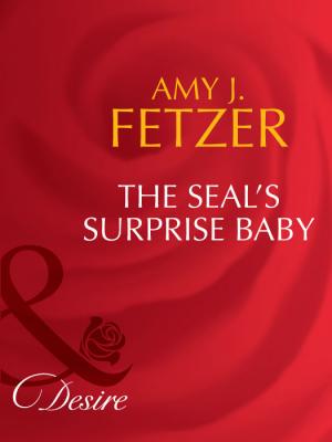 The Seal's Surprise Baby - Amy Fetzer J. 