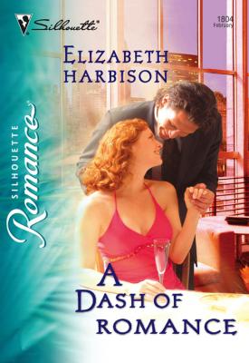 A Dash of Romance - Elizabeth  Harbison 