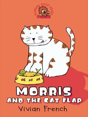 Morris and the Cat Flap - Vivian  French 