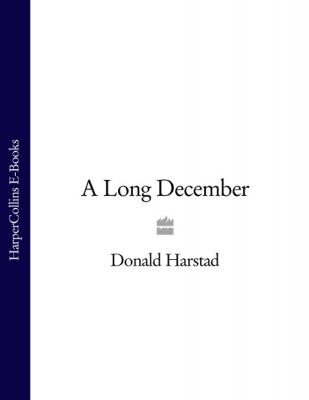 A Long December - Donald  Harstad 