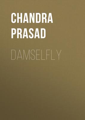 Damselfly - Chandra Prasad 