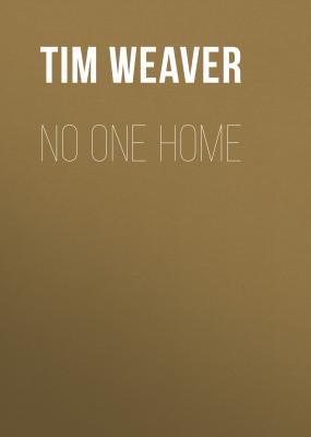 No One Home - Tim  Weaver David Raker Missing Persons