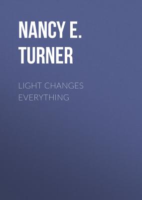 Light Changes Everything - Nancy E. Turner 
