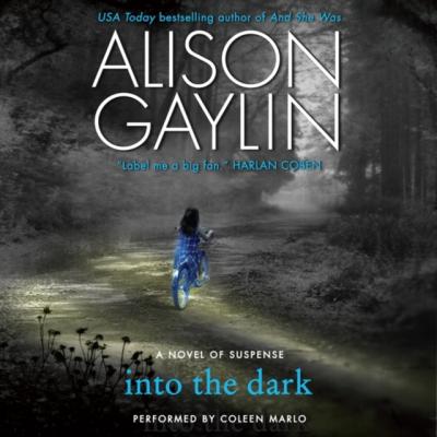 Into the Dark - Alison Gaylin Brenna Spector Novel