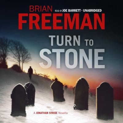 Turn to Stone - Brian Freeman The Jonathan Stride Series