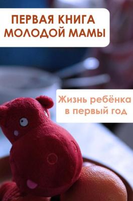Жизнь ребёнка в первый год - Илья Мельников Первая книга молодой мамы