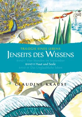 Jenseits des Wissens - Band II - Claudine Krause 