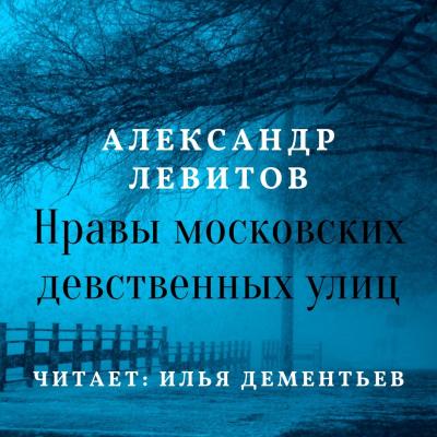 Нравы московских девственных улиц - Александр Левитов 