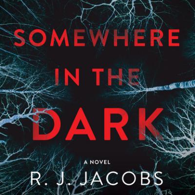 Somewhere in the Dark (Unabridged) - R. J. Jacobs 