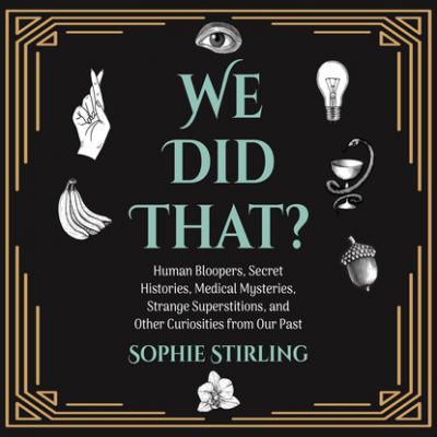 We Did That? (Unabridged) - Sophie Stirling 