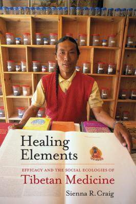 Healing Elements - Sienna R. Craig 