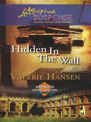Hidden in the Wall - Valerie  Hansen 