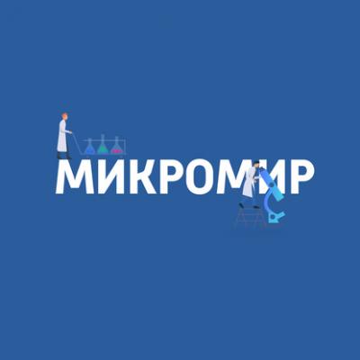 Иммунитет на клеточном уровне - Картаев Павел Микромир