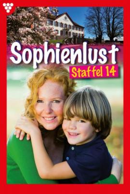 Sophienlust Staffel 14 – Familienroman - Elisabeth Swoboda Sophienlust Staffel