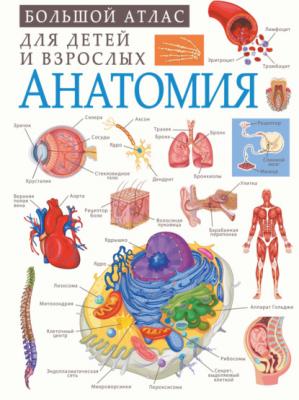 Анатомия - А. А. Спектор Большой атлас для детей и взрослых