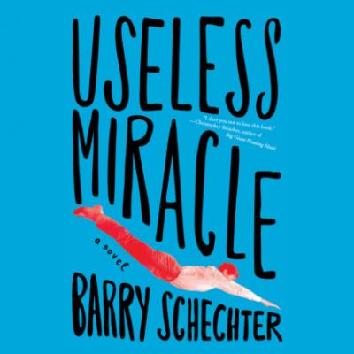 Useless Miracle (Unabridged) - Barry Schechter 