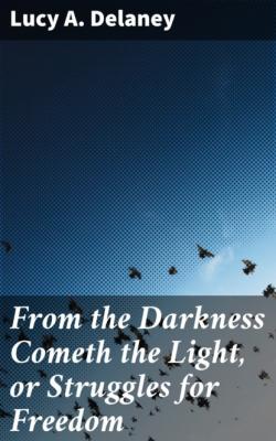 From the Darkness Cometh the Light, or Struggles for Freedom - Lucy A. Delaney 