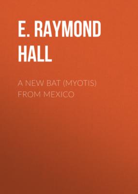 A New Bat (Myotis) From Mexico - E. Raymond Hall 