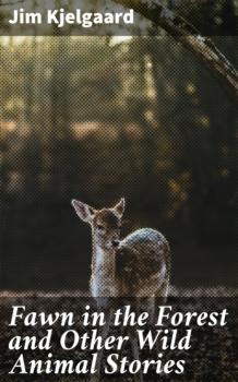 Fawn in the Forest and Other Wild Animal Stories - Jim  Kjelgaard 
