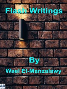 Flash Writings - Wael El-Manzalawy 