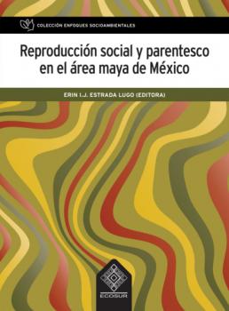 Reproducción social y parentesco en el área maya de México - Georgina Sánchez Ramírez 