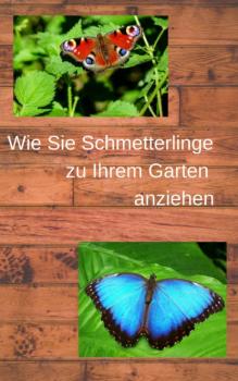 Wie Sie Schmetterlinge zu Ihrem Garten anziehen - André Sternberg 
