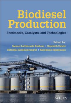 Biodiesel Production - Группа авторов 