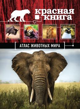 Красная книга. Атлас животных мира - Оксана Скалдина Красная книга для больших и маленьких