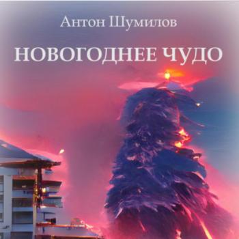 Новогоднее чудо - Антон Шумилов 