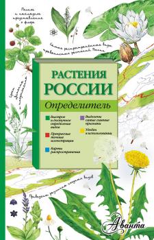 Растения России. Определитель - Ирина Пескова 