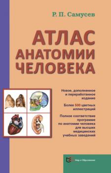 Атлас анатомии человека. Учебное пособие для студентов высшего профессионального образования - Р. П. Самусев 