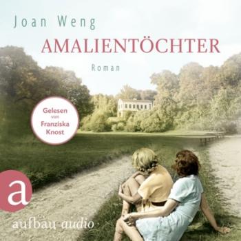 Amalientöchter (Ungekürzt) - Joan Weng 