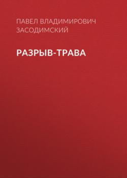 Разрыв-трава - Павел Владимирович Засодимский 