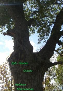 Дуб-дерево - Наджия Макогонова 
