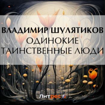 Одинокие таинственные люди - Владимир Михайлович Шулятиков 