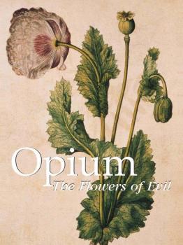 Opium. The Flowers of Evil - Donald  Wigal Mega Square