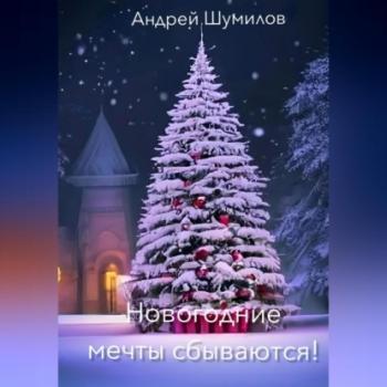Новогодние мечты сбываются! - Андрей Шумилов 