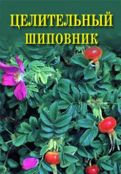 Целительный шиповник - Иван Дубровин Целительные растения