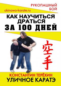 Уличное каратэ. Как научиться драться за 100 дней - Константин Терёхин 
