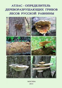 Атлас-определитель дереворазрушающих грибов лесов Русской равнины - В. Г. Стороженко 
