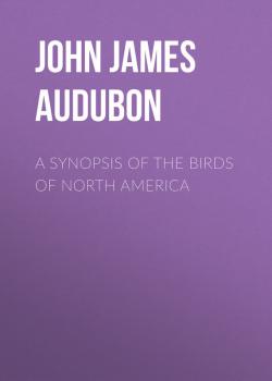 A Synopsis of the Birds of North America - John James Audubon 