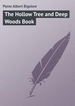 The Hollow Tree and Deep Woods Book - Paine Albert Bigelow 