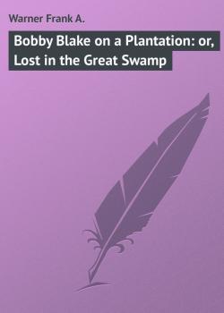 Bobby Blake on a Plantation: or, Lost in the Great Swamp - Warner Frank A. 