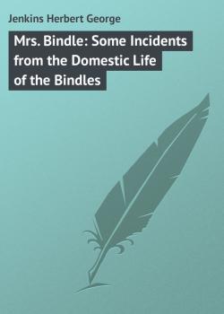 Mrs. Bindle: Some Incidents from the Domestic Life of the Bindles - Jenkins Herbert George 