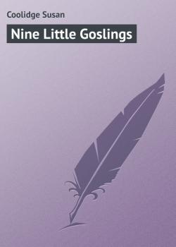 Nine Little Goslings - Coolidge Susan 