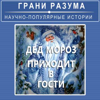 Дед Мороз приходит в гости… - Анатолий Стрельцов Грани разума